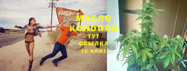 Альфа ПВП Аркадак