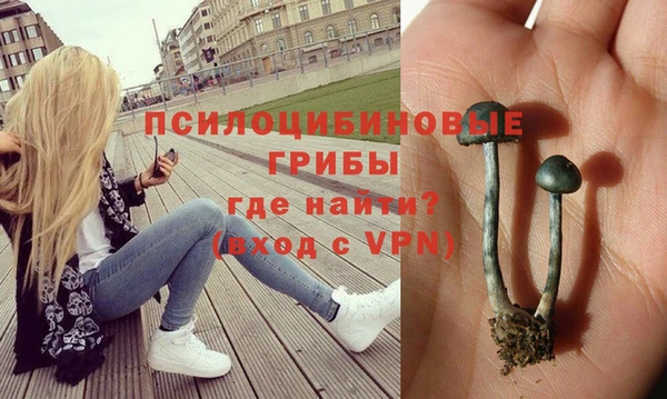мескалин Армянск