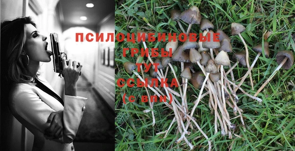 Альфа ПВП Аркадак